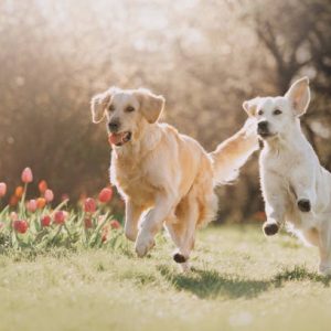 When Your Car AC Betrays You: A Troubleshooting Guide